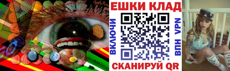 блэк спрут вход продажа наркотиков Зеленогорск площадка официальный сайт Ecstasy круглые