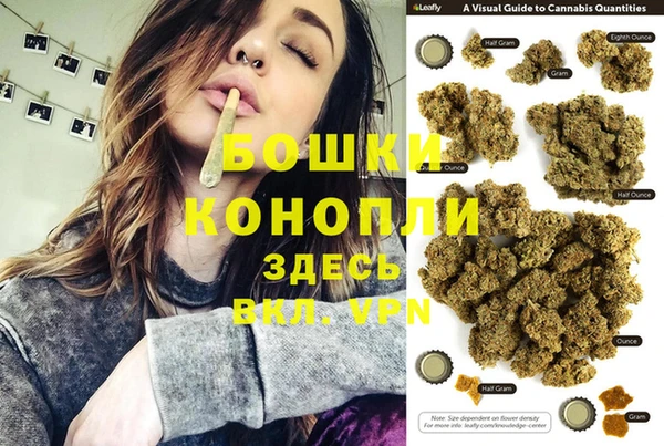 хмурый Абаза