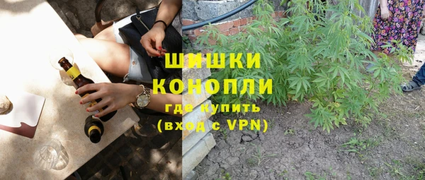 хмурый Абаза
