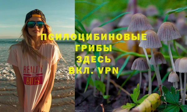 хмурый Абаза