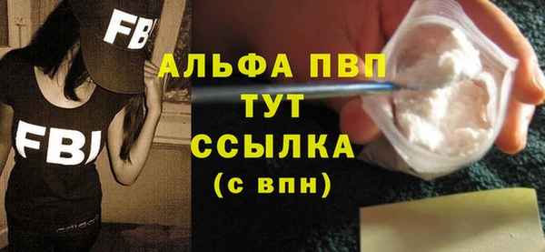 хмурый Абаза